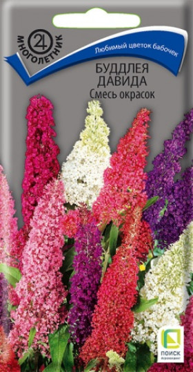 Давида Смесь окрасок Ц(Поиск)