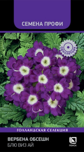 Обсешн Блю виз Ай Ц(Поиск)