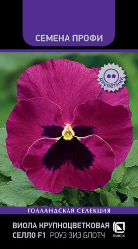 Селло Роуз виз Блотч Ц(Поиск)