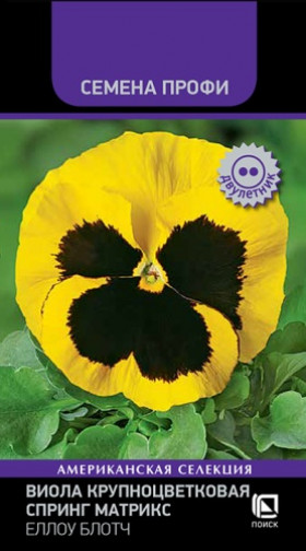 Спринг Матрикс Еллоу Блотч Ц(Поиск)