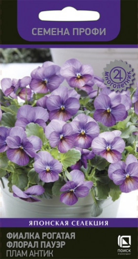 Флорал Пауэр Плам Антик Ц(Поиск)