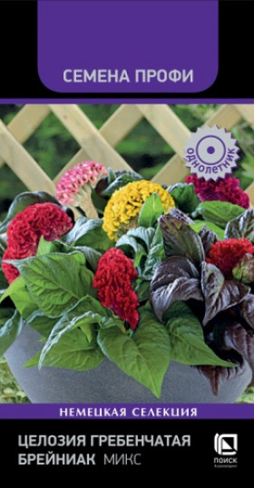 Брейниак Микс гребенчатая Ц(Поиск)