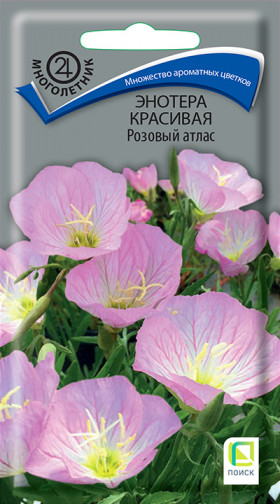 Розовый атлас красивая Ц(Поиск)