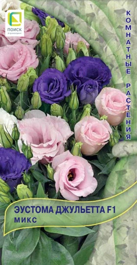 Джульетта Микс Ц(Поиск)