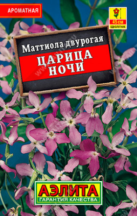 Царица Ночи Лидер