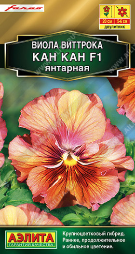 Кан-кан янтарная Ц(А)