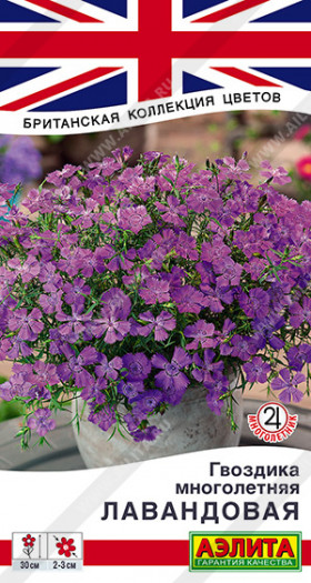 Лавандовая Ц(А)