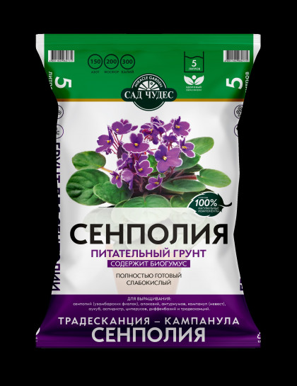 Фиалка Сенполия 5л.5 шт Сад Чудес Фарт