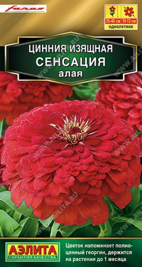 Сенсация алая Ц(А)