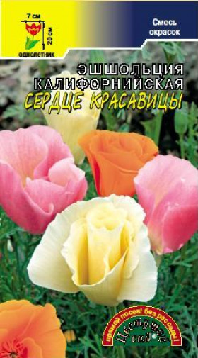 Сердце красавицы/Цветущий Сад