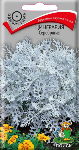 Серебряная Ц(Поиск)