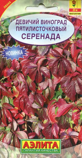 Серенада Ц(А)