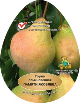 Памяти Яковлева 1шт /сетка Поиск