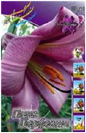 Пинк Перфекшн 12/14 (труб)  5шт