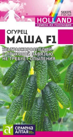 Маша 5шт. Ц(Алт)