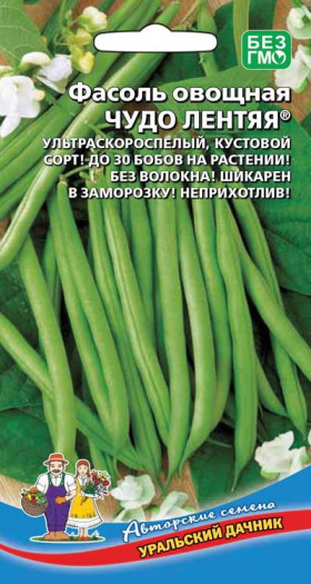 Чудо лентяя Ц(УД)