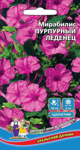 Пурпурный леденец Ц(УД)