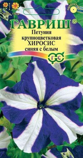 Хиросис синяя с белым крупноцв Ц(Г)