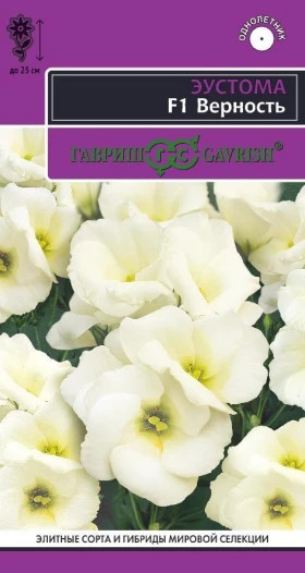 Верность  Ц(Г)