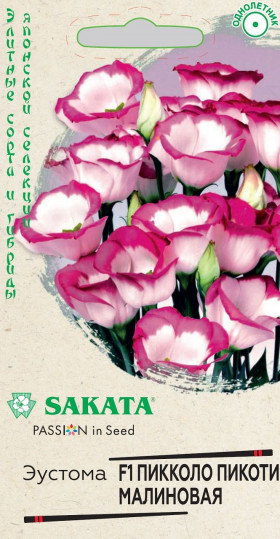 Пикколо Пикоти  малиновая Ц(Г)