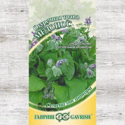 Медонос Ц(Г)