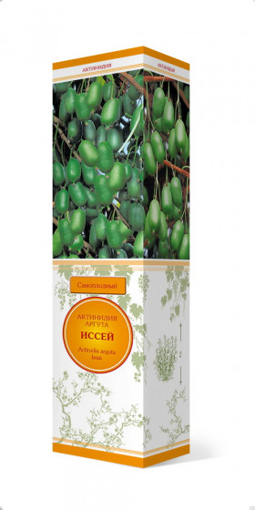 Иссей Поиск