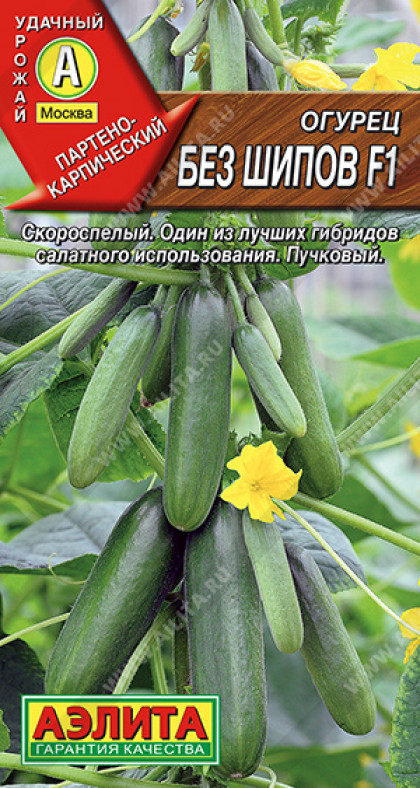 Без шипов Ц(А)