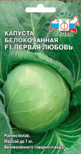 Первая любовь Ц(С)