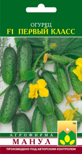 Первый класс Манул