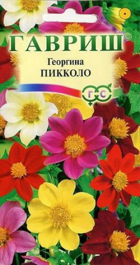 Пикколо Ц(Г) (6665                     )