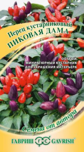 Пиковая Дама кустарниковый Ц(Г)