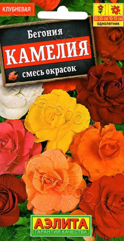 Камелия Смесь крупноцветковая Ц(А)