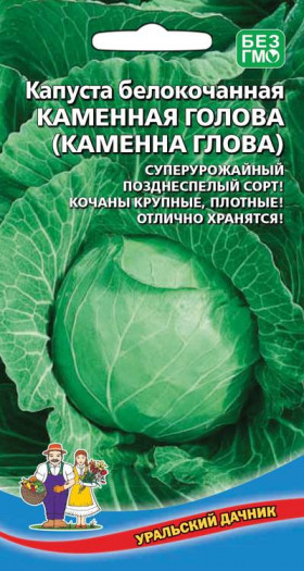 Каменная голова Ц(УД)