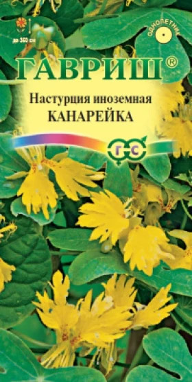 Канарейка иноземная Ц(Г)