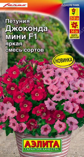 Джоконда мини яркая смесь Ц(А)