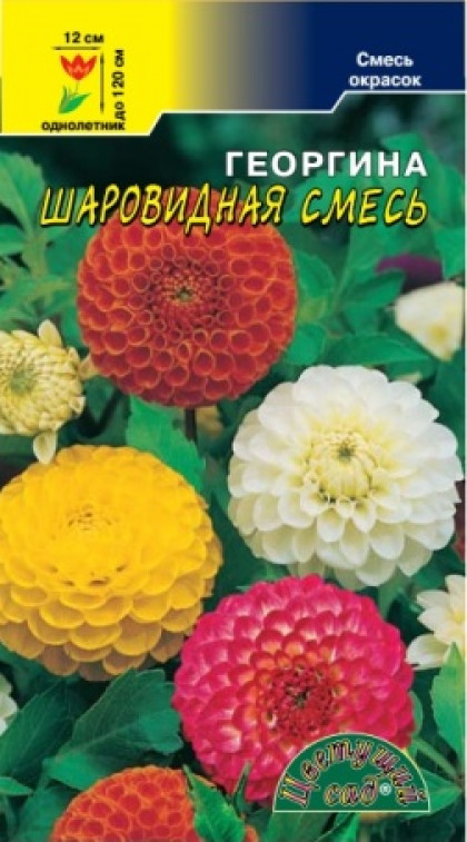 Шаровидная смесь/Цветущий Сад