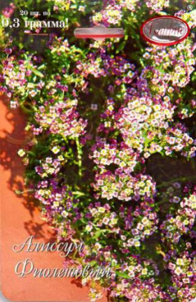 Алиссум Мускат фиолетовый Каприс 20*0,3