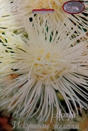 Астра Искушение желтая Каприс 20*0,5