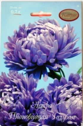 Астра Голубая Лагуна Пионовидная Каприс