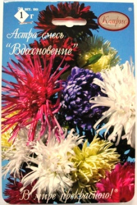 Астра Вдохновение Смесь Каприс 20*1