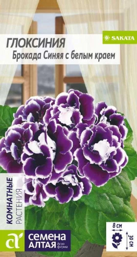 Брокада Синяя с белым краем 5шт. Ц(Алт)