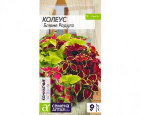 Блюме Радуга 0,01гр. Ц(Алт)