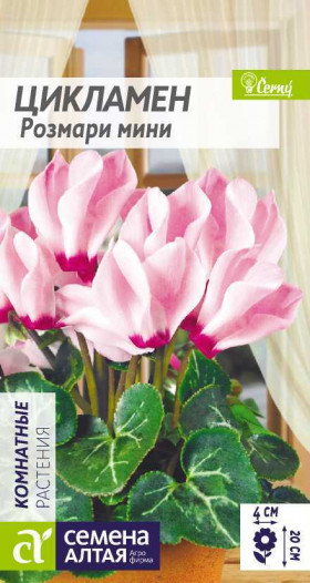 Розмари мини 3шт. Ц(Алт)