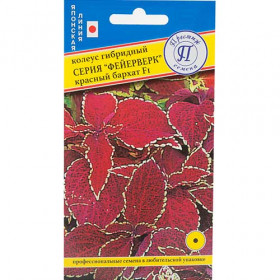 Фейерверк Красный Бархат Ц(П)