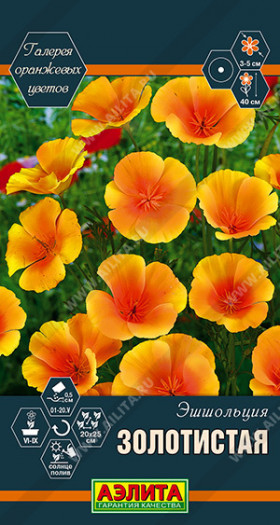 Золотистая Ц(А) ()