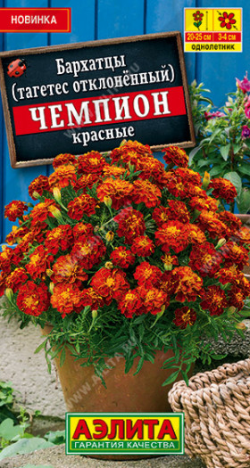 Чемпион красные Ц(А)