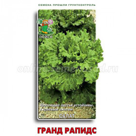 Гранд Рапидс Ц(Поиск)