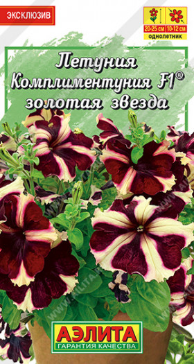 Золотая звезда Ц(А)