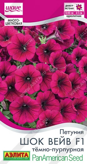 Шок вейв темно-пурпурная Ц(А)
