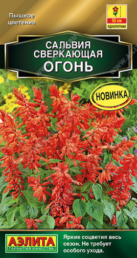 Огонь сверкающая Ц(А)